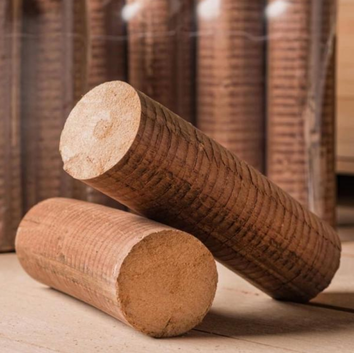 Bûches de bois compressé "100% BOIS de HETRE " Pollmaier